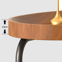 Table basse ovale compacte pour salon, meuble d'appoint en bois avec pieds en métal, table basse moderne miniature mobile