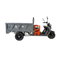 Heavy Duty Elektrische Cargo Driewieler 3 Wiel Vracht Trike 1000W 60V voor Fruit Groente Markt Verkoper Kruideniersvervoer