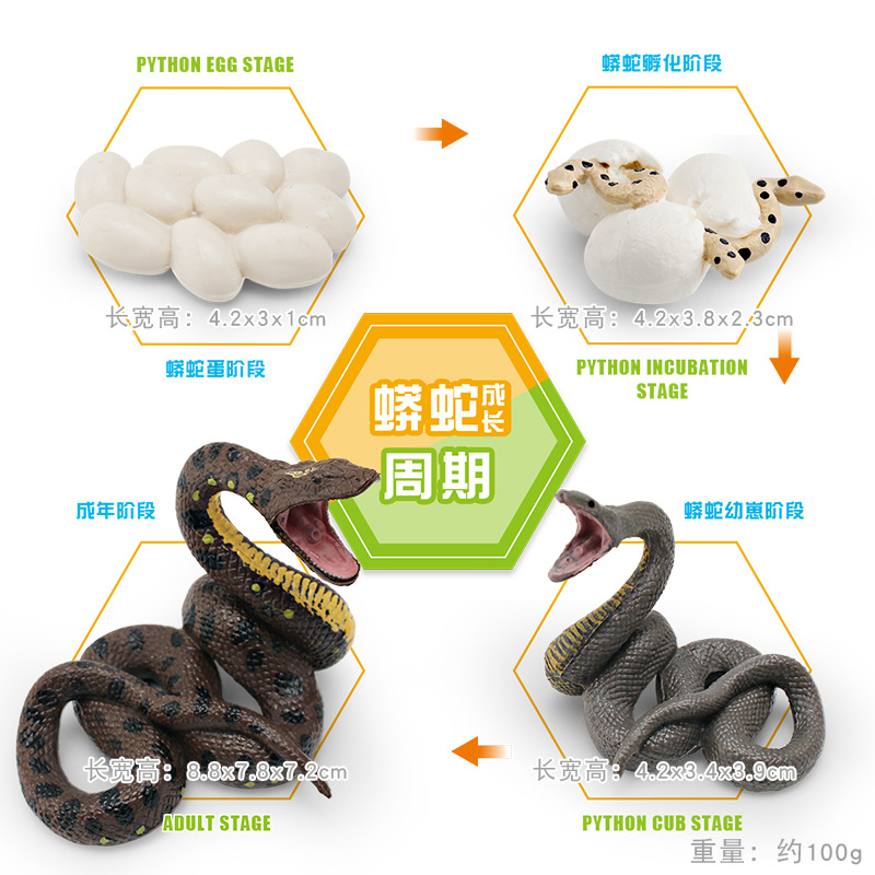 Yubkalari ostidagi külotlarini korsatadigan qizlarning fotosuratlari