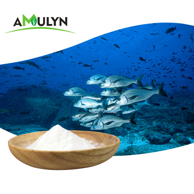 AMULYN High Quality Flavorless Odorless Fish Collagen (90% Protein) Powder Nutrition Enhancers Bulk Wholesale Food Additives