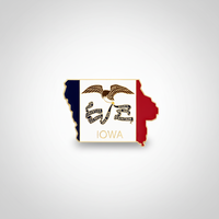 GREPAS GIFTS Épinglette de revers en forme de drapeau de l'État de l'Iowa plaqué or, 1,25 pouce