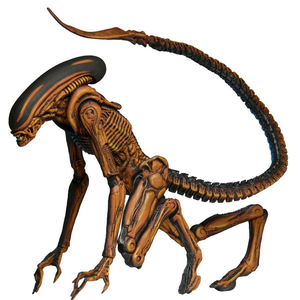 Figura <span class=keywords><strong>de</strong></span> Acción <span class=keywords><strong>de</strong></span> Alien <span class=keywords><strong>Perro</strong></span> <span class=keywords><strong>de</strong></span> NECA, Modelo Coleccionable <span class=keywords><strong>de</strong></span> Juguete <span class=keywords><strong>de</strong></span> 17 cm - Product Image 4