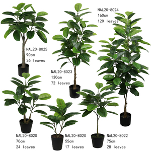 Alta garanzia impermeabile tropicale finto Ficus Elastica <span class=keywords><strong>parete</strong></span> vegetale gomma artificiale plastica Bonsai <span class=keywords><strong>albero</strong></span> piante Decorative per interni - Product Image 5