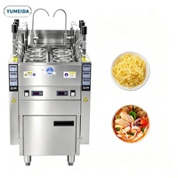Olla Eléctrica Automática para Cocinar Fideos con Elevación, Máquina de Cocinar Fideos de 3, 6 o 9 Cabezas, Olla para Fideos Eléctrica/a Gas, Equipo de Cocina