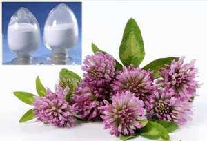 المكملات الغذائية مسحوق مستخلص البرسيم الأحمر CAS 485-72-3 فورمونونيتين 98% Formon - Product Image 3