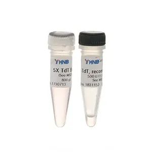 Nguyên Liệu Thô Cho ELISA/Western Blot/LETIA/CLIA, Vv Kháng Nguyên Và Kháng Thể Tinh Khiết Cao