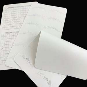 Peau blanche blanche de pratique de tatouage de grande taille de double face d'OEM <span class=keywords><strong>Berlin</strong></span> aucune encre nécessaire - Product Image 3