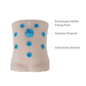 Conjunto De Caixa De Treinador Laparoscópica Simulador Laparoscopia Caixa De Treinamento De Porto Único Abdominal Laparoscópica - Product Image 2