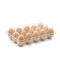 Boîte à œufs portable à double couche de type tiroir pour réfrigérateur, conteneur à œufs en plastique coulissant, transparent, anti-poussière, organisateur de réfrigérateur