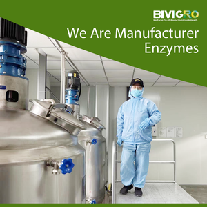 Nhà sản xuất cung cấp đa Enzyme phức tạp cho lợn nái heo con thức ăn - Product Image 2