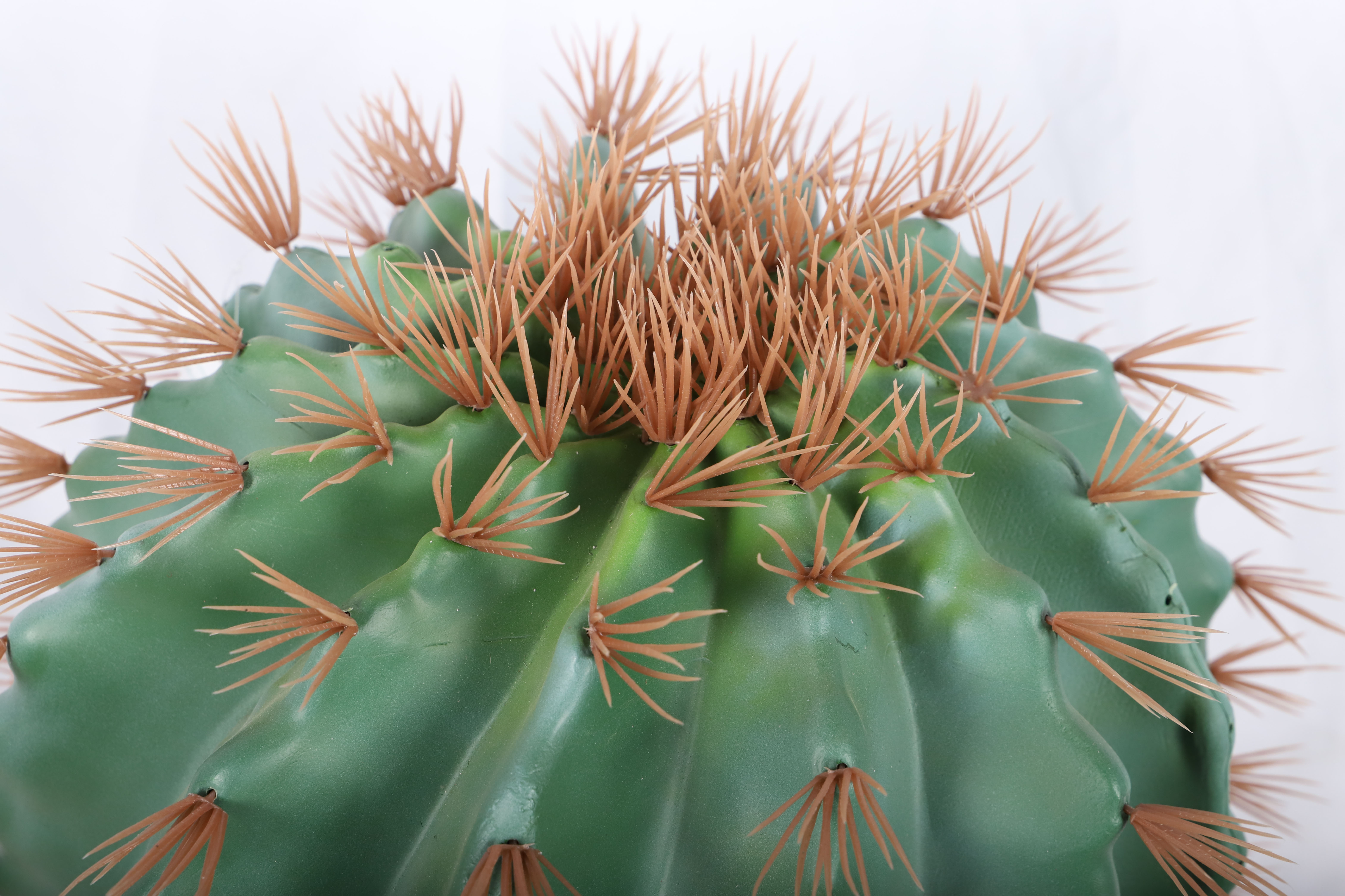 vatika cactus hair oil Cactus Enriched Hair Oil, Ghergir Garlic  Kalustyan's