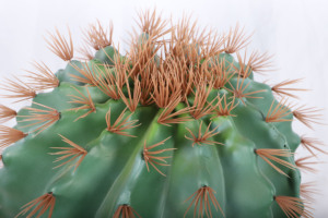 Offre Spéciale <span class=keywords><strong>Cactus</strong></span> Artificiel Faux <span class=keywords><strong>Cactus</strong></span> Plantes Faux <span class=keywords><strong>Cactus</strong></span> Saguaro avec Pot pour Décoration Intérieure et Extérieure - Product Image 2