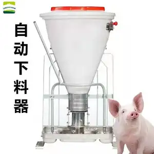 Double-sided ingrasso maiale alimentatore, alimentatore automatico per ingrasso suini, in acciaio inox a secco e bagnato alimentatore per le grandi maiali