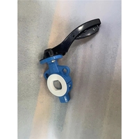Vanne papillon à opercule entièrement revêtue en acier au carbone WCB, OEM ODM personnalisée, DN50 CLASSE 150, siège en PTFE pour le traitement de l'eau