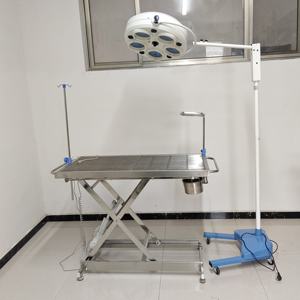 Table d'opération électrique pour animaux de compagnie en acier inoxydable 304 Jining <span class=keywords><strong>Herta</strong></span> pour la vente en gros et au détail aux hôpitaux et cliniques vétérinaires, garantie 1 an - Product Image 5