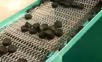 Machine industrielle automatique XDEM pour briquettes de chicha, équipement de fabrication de briquettes de coque de noix de coco, ligne de production de charbon