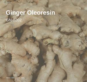 Mejor Precio en Extracto de Jengibre a Granel, Gingeroles y Oleorresina de Jengibre, Extracción Supercrítica de CO2, Grado Alimenticio - Product Image 1