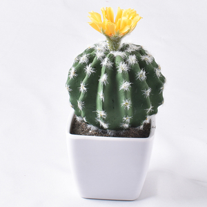 Piante artificiali Mini <span class=keywords><strong>Cactus</strong></span> miste ad alta simulazione verde esterno vero tocco - Product Image 5