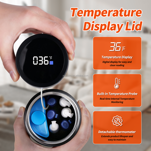 Nevera portátil de semiconductores para insulina, refrigerador auxiliar para coche, conservación en frío de medicamentos - Product Image 6