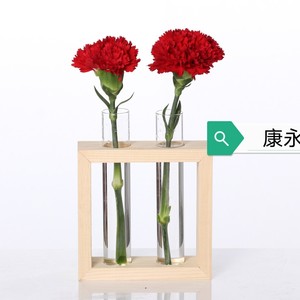 Glass Test Tube <b>Vase</b> 25ml High Borosilicate Glass Flower Holder For Home Decoration - Product Image 1