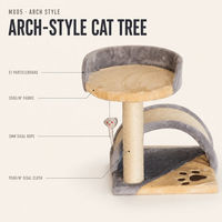Arbre à chat incurvé avec griffoir, tour d'escalade pour chat, mobilier en peluche pour chat d'intérieur