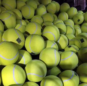 <span class=keywords><strong>Rubber</strong></span> cepet toptan özel Logo gıcırtılı köpek tenis topu açık Pet oyuncak kauçuk orijinal üretici yapılmış köpek çiğneme oyuncakları - Product Image 4