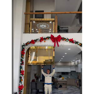 Precios de <span class=keywords><strong>Mini</strong></span> Ascensores Domésticos de 2 Pisos/ <span class=keywords><strong>Ascensor</strong></span> Residencial Pequeño para Villas, Interior y Exterior, de Bajo Costo - Product Image 3