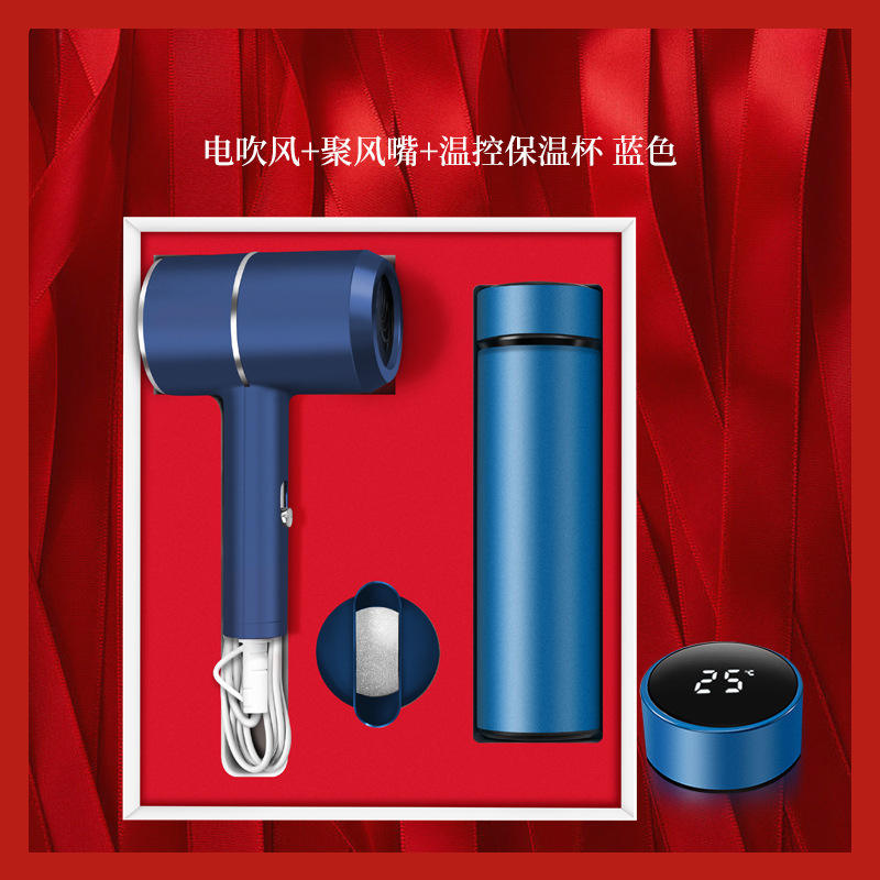 Blue two-piece set [hair dryer temperature control cup]
