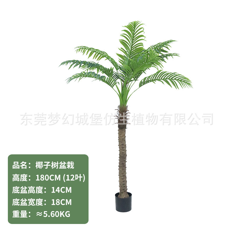 Cocotier 180CM