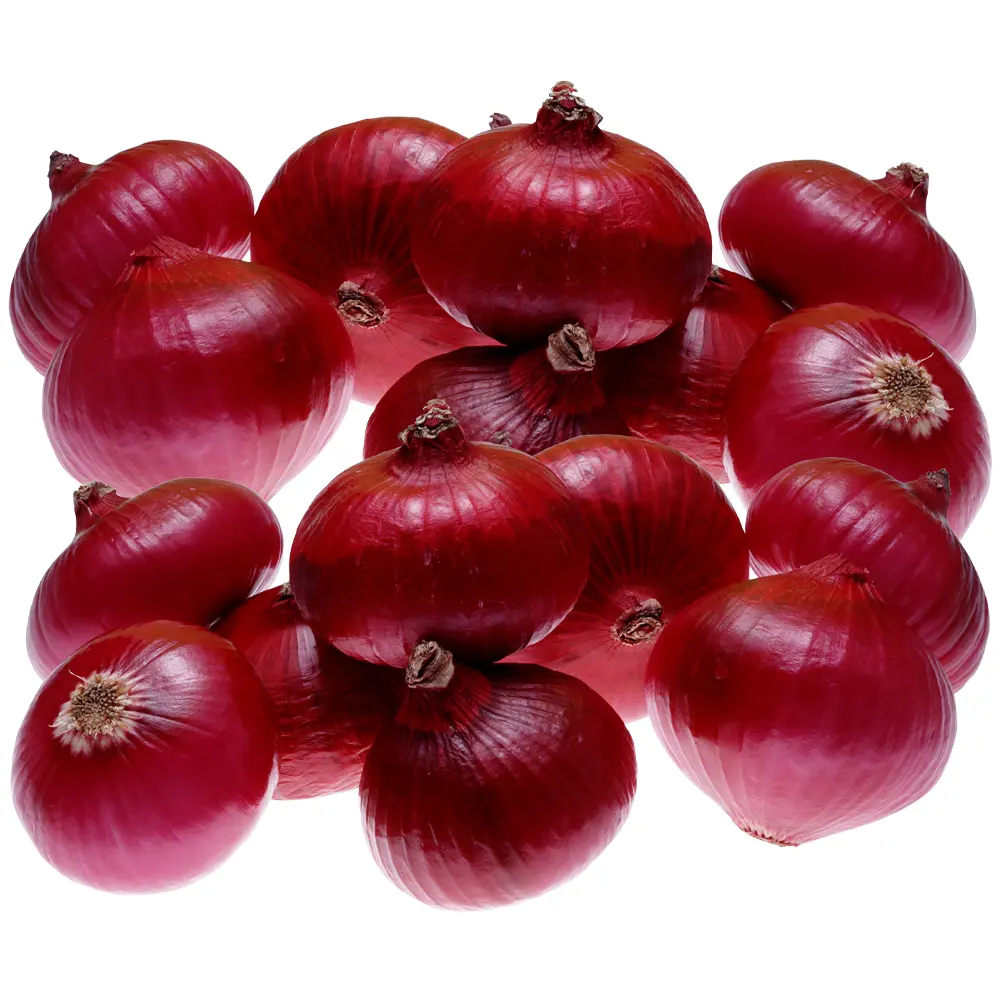 wholesale onions by onion suppliers on red onion 1 ton price for sale