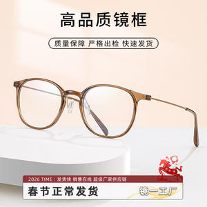 Montures de lunettes ovales Linde TR90 003 unisexe légères à monture complète en plastique pour la vision de près - Product Image 5