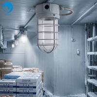 Lumière de stockage à froid en aluminium étanche marine CCD16 220V 60W, indice IP55, 360° °   Transparent Certifié CCS