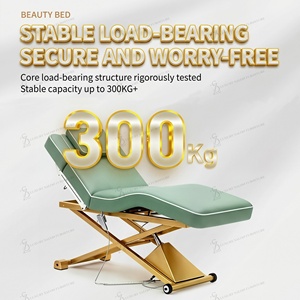 Nouveau Lit <span class=keywords><strong>de</strong></span> Cils Incurvé Électrique <span class=keywords><strong>de</strong></span> Haute Qualité, Ensemble <span class=keywords><strong>de</strong></span> Lit Facial <span class=keywords><strong>de</strong></span> Beauté Spécialisé pour Salon <span class=keywords><strong>de</strong></span> Beauté, Camillas Para Pestanas - Product Image 4