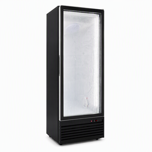 Refrigerador Vertical Comercial de Una Puerta de Vidrio para Bebidas, 600L, para Supermercados y Tiendas de Conveniencia, R290, Sin Escarcha - Product Image 3