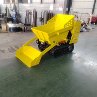 Usine nouvelle chenille Dumper 500kg entièrement hydraulique Euro 5 moteur diesel démarrage électrique vente chaude usage domestique Mini décharge avec pelle