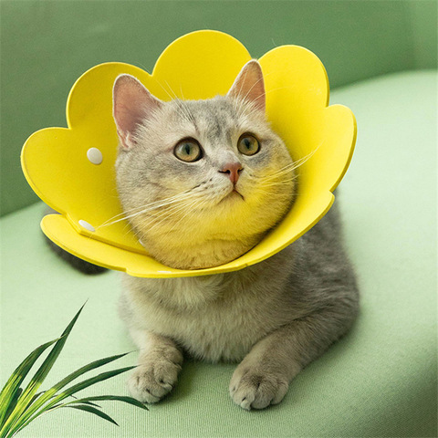 Elizabethan Felt Cat Collar-Anti-Lick Neutering Design Adjustable Drool Bib Neck Cover