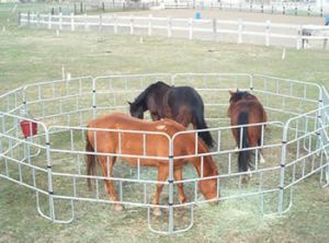 Cheval en acier 6 pieds de haut Clôture de ferme Assemblage facile Cadre en bois de fer pour la construction de jardin Protection de prison Longueur Decoration-2m - Product Image 6