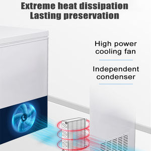 Réfrigérateur compact mini OEM ODM pour petits appareils électroménagers, faible niveau sonore, avec contrôle de température réglable - Product Image 3