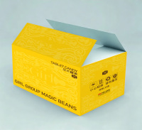 Boîte d'emballage écologique en carton ondulé recyclable avec logo personnalisé, forme d'avion, gaufrage, pour aliments, cosmétiques, produits de santé