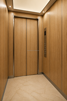 Ascenseur de villa sans engrenages MRL 320 kg pour résidence privée Lgeer Elevator