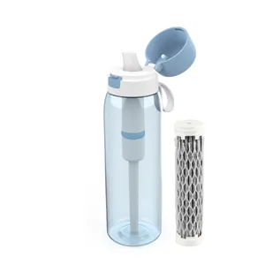 Fabrik preis Outdoor Tragbare Nano-Technologie Stroh flasche Filter De Agua Pure It Wasser reiniger