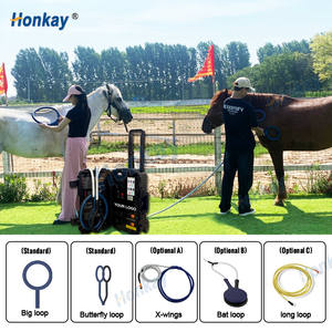 Alat terapi kuda Pemf elektromagnetik kuda promosi kesehatan Pemf kuda Physio magnet manajemen kondisi - Product Image 2