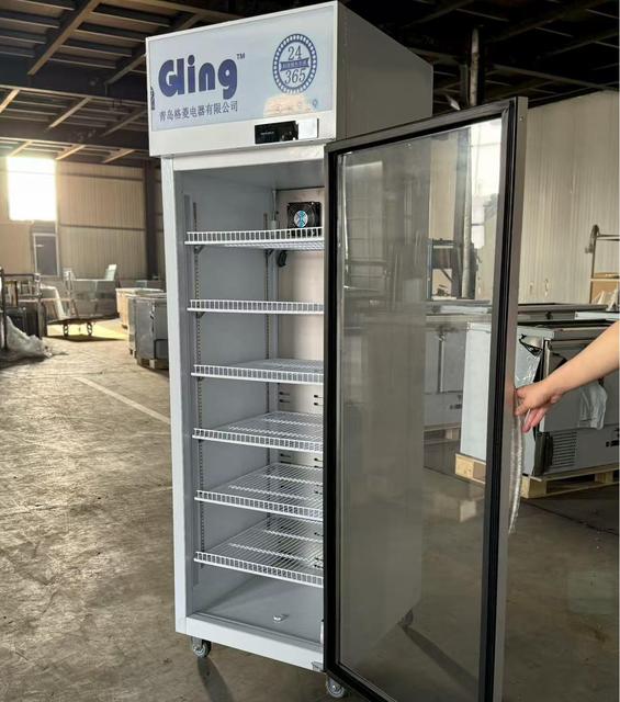 Commercial Vertical Upright Refrigerator & Freezer with 2/3 Doors Hypermarket Display Factory Customizable