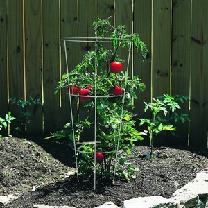 Cage de Support en métal galvanisé de 2 m, Cage pour plantes, tomate de 48 pouces, avec 3/4 anneaux - Product Image 6