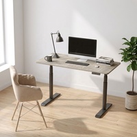 Cadre de bureau ergonomique assis-debout à double moteur, réglable en hauteur, en métal, pour poste de travail intelligent