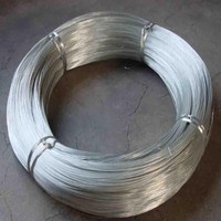 Stok Pabrik Pengiriman Cepat Z100 10 12 14 Gauge SWG11 SWG19 Kawat Baja Paduan Galvanis Celup Panas Ketebalan 2mm untuk Konstruksi