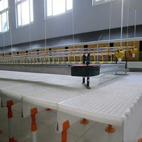 Plancher en plastique à lattes pour volailles, en PP épaissi, pour l'évacuation du fumier de canard, oie, pigeon, dinde, caille, pour élevage en cage