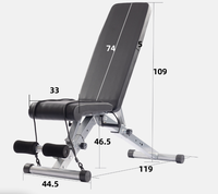 Banc de musculation professionnel pliable en métal pour salle de sport, chaise de fitness réglable, équipement d'exercices abdominaux, banc pour haltères