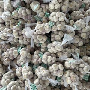 <span class=keywords><strong>Ajo</strong></span> Chino de Buena Calidad, 4.5-5.0 cm, Empaque de 1 kg para el Mercado de GHANA y JAPÓN - Product Image 5