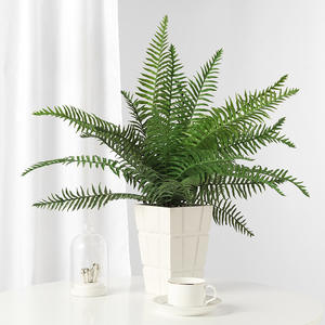 AYOYO OEM Simulation de Main Sensation Petite Feuille de <span class=keywords><strong>Jue</strong></span> Mimosa Fleur Artificielle Décoration Feuille de <span class=keywords><strong>Jue</strong></span> - Product Image 3